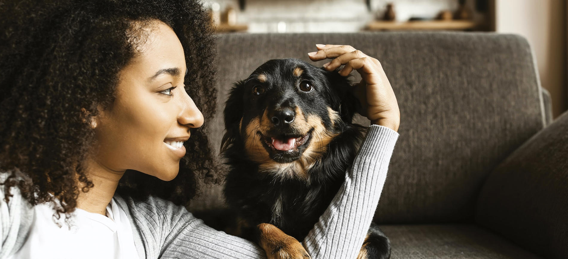 Happy dog and owner