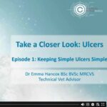 Uncomplicating Corneal Ulcers - Episode 1 - Keeping simple ulcers simple