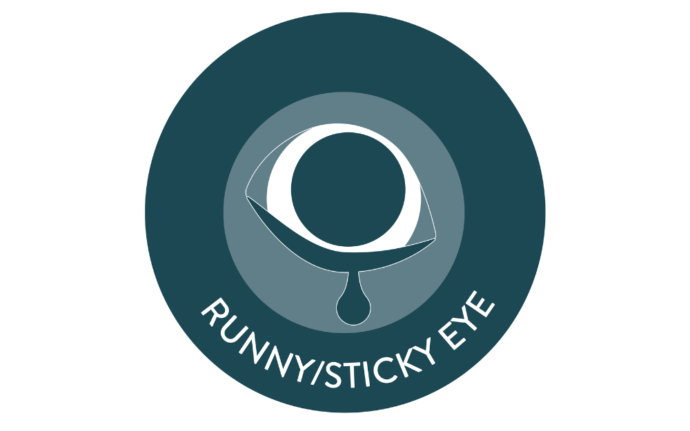 Signs of eye disease in pets - runny/sticky eye