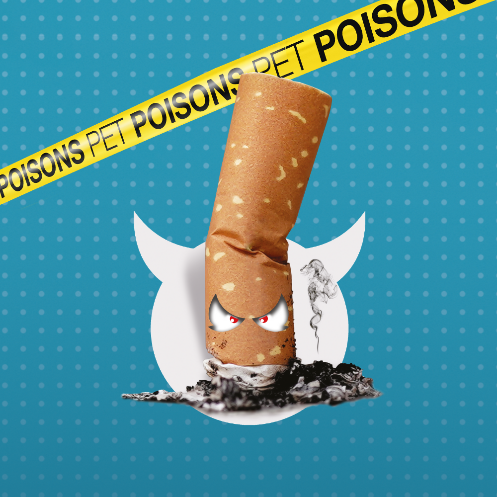 Pet dangers pet poisons - Cigarettes