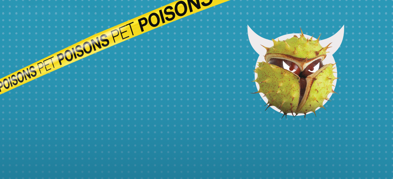 Pet dangers header pet poisons - Conkers