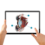 Corneal Health CPD on an ipad