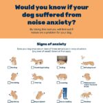 Domes Pharma - Noise Anxiety - Owner Questionnaire