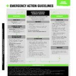 Domes Pharma Poisoning Guideline - Allium