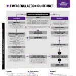 Domes Pharma Poisoning Guideline - Grape and Raisin