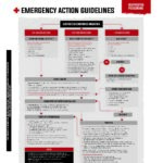 Domes Pharma Poisoning Guideline - Ibuprofen
