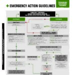 Domes Pharma Poisoning Guideline - Mycotoxins