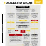 Domes Pharma Poisoning Guideline - Paracetemol