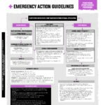 Domes Pharma Poisoning Guideline - Pyrethrin (Pyrethroid)