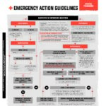 Domes Pharma Poisoning Guideline - Xylitol