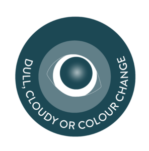 Signs of eye disease in pets - Dull and cloudy