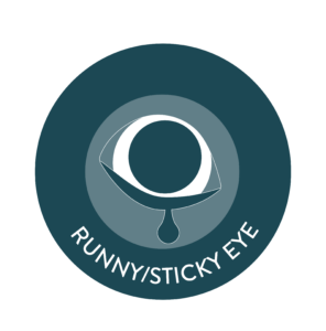 Signs of eye disease in pets - Runny sticky eye