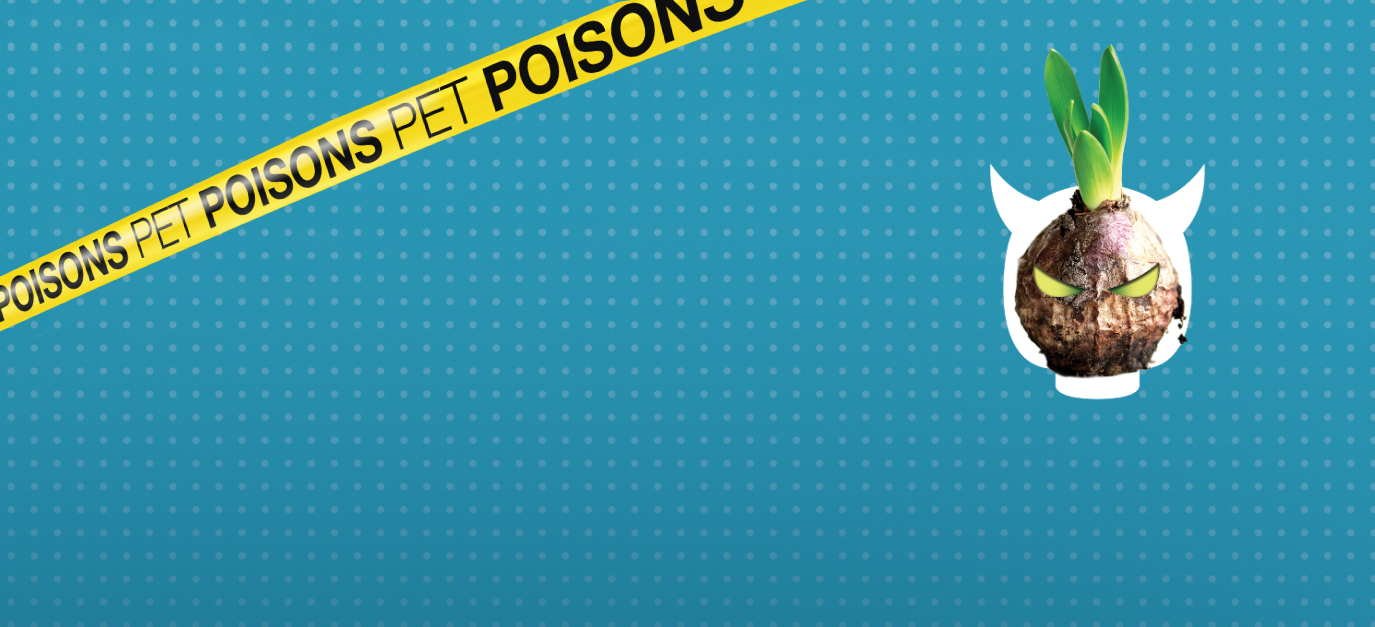 Pet dangers header pet poisons - Plants(1)