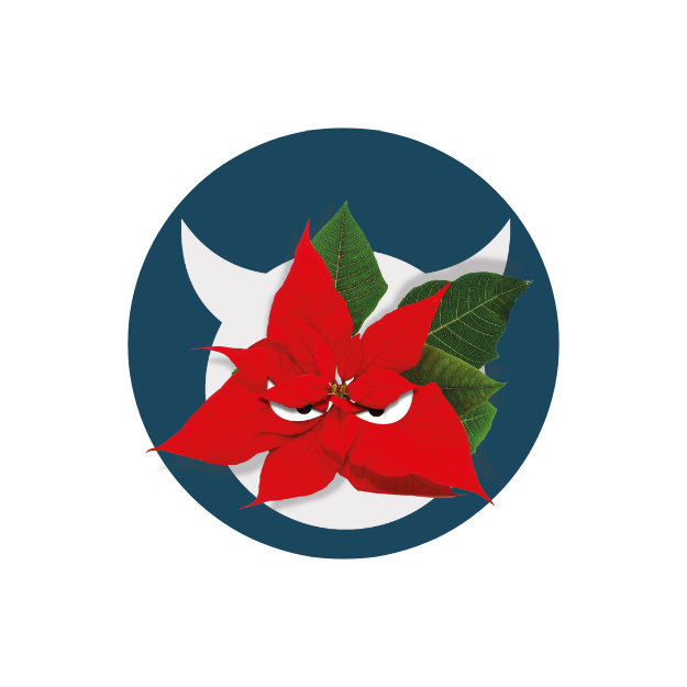 Pet dangers hero image - pet toxin is Poinsetta Pet Dangers