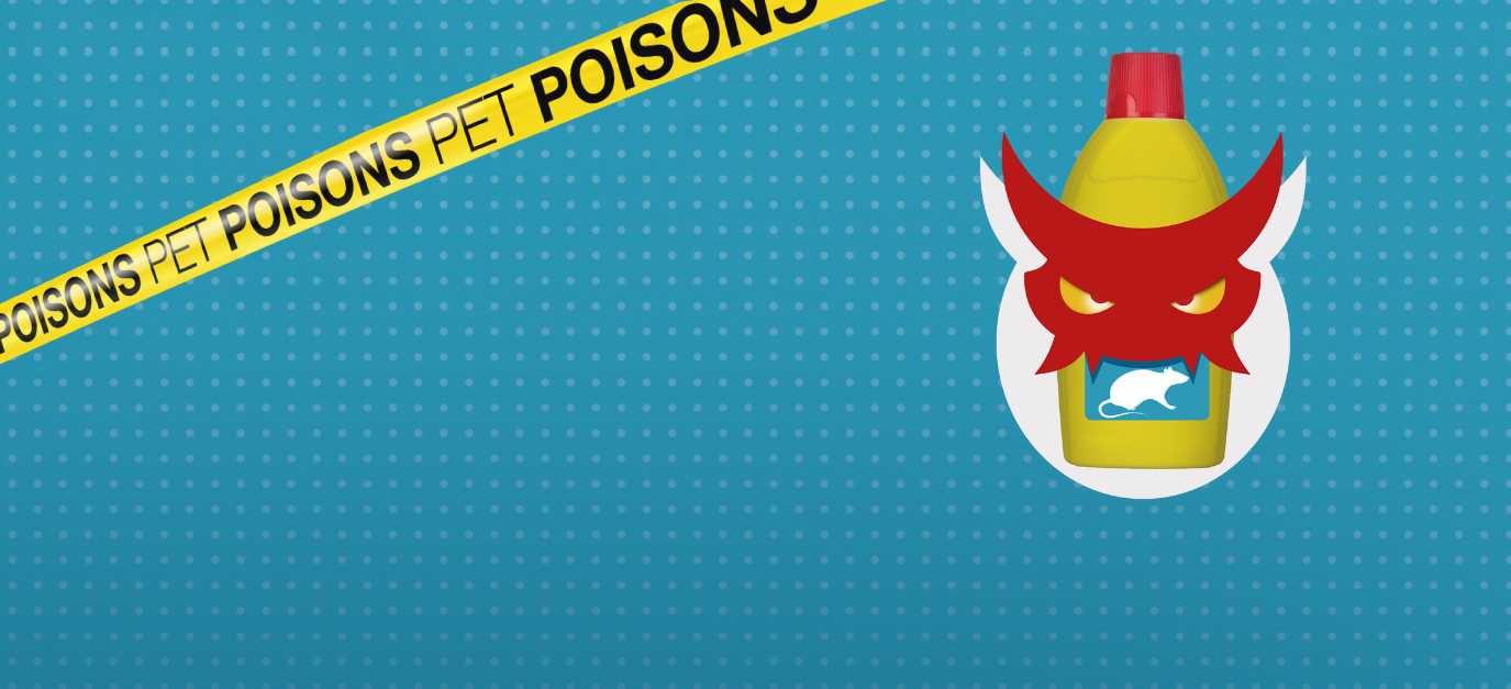 Pet dangers header pet poisons - Rat poison