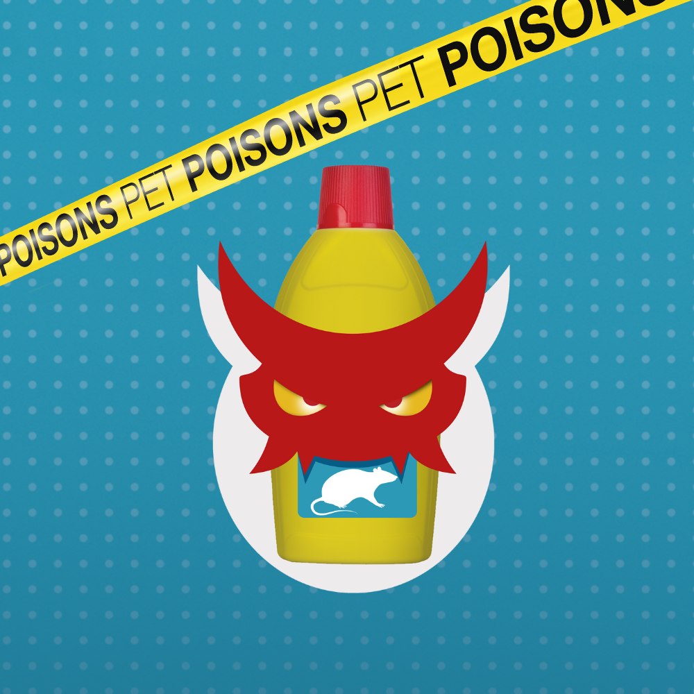 Pet dangers pet poisons - Rodenticide