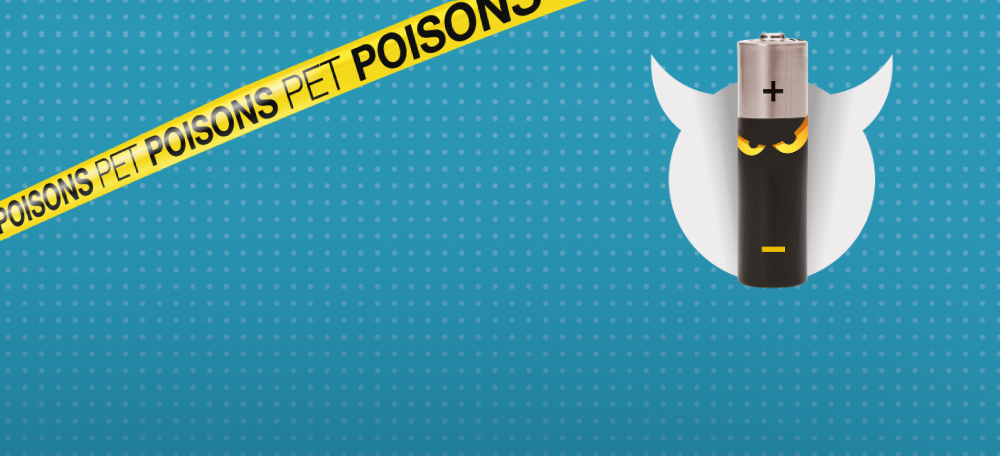 Pet dangers header pet poisons - Batteries