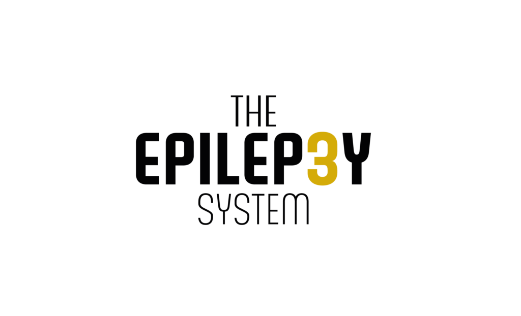 Epilepsy system logo