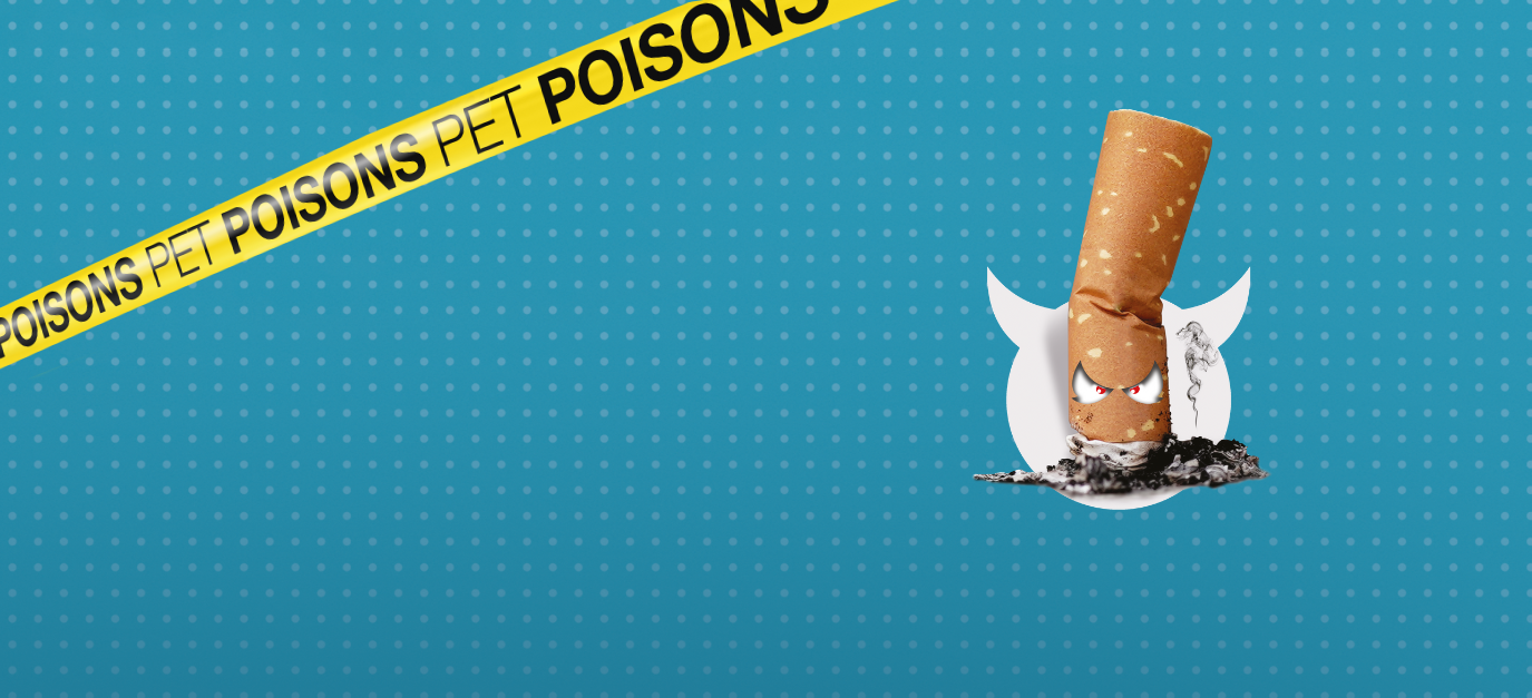 Pet dangers header pet poisons - Vapes