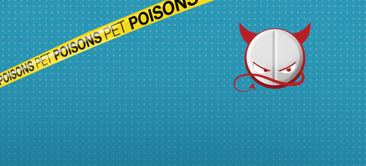 Pet dangers header pet poisons - Vitamin D(1)