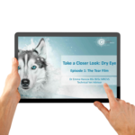 Dry Eye Webinar Episode 1 - The tear film