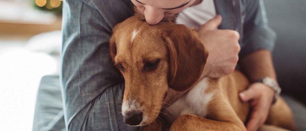 Epileptic dog being held by owner